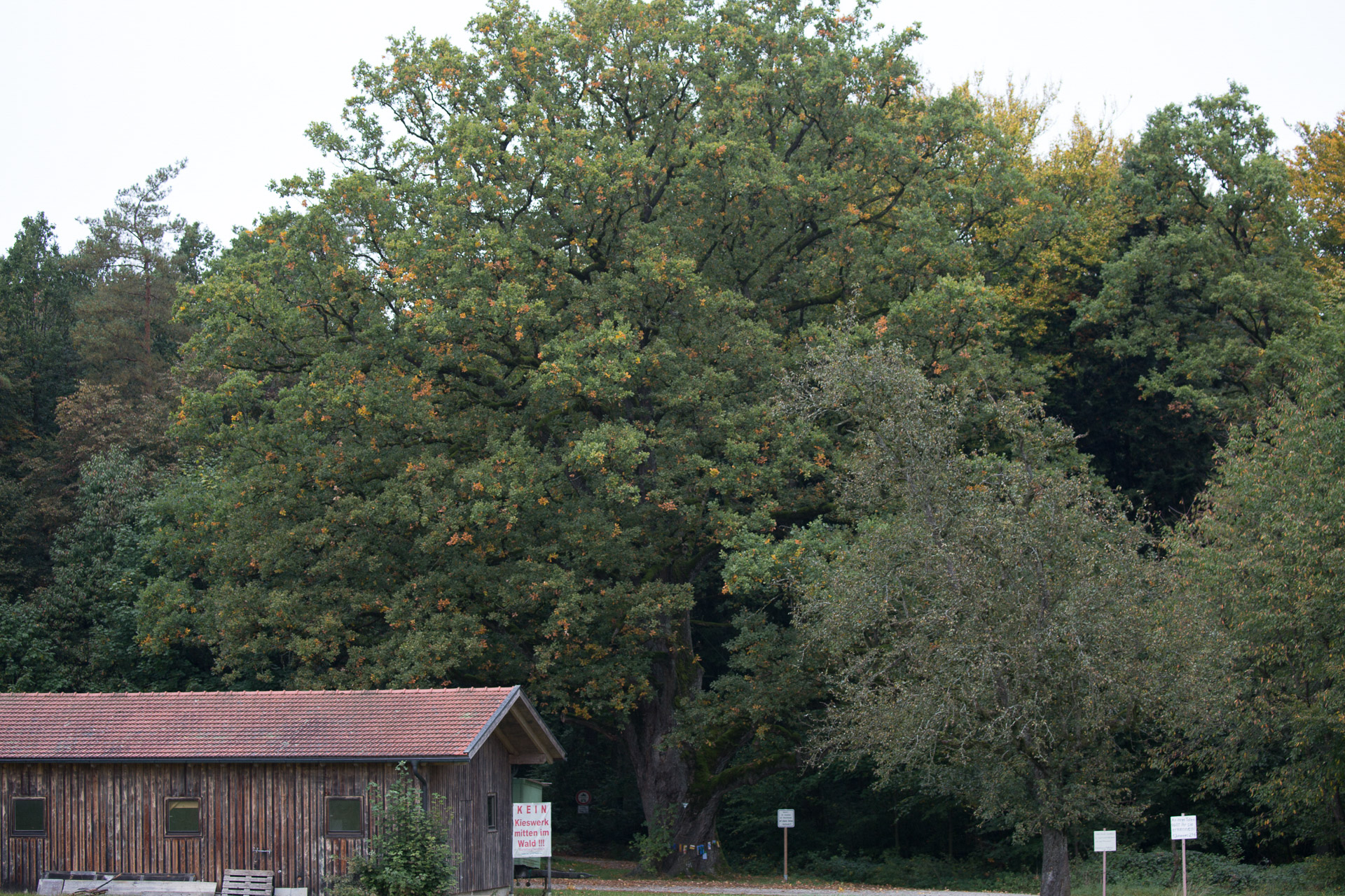 20231014100727 3K6A2220